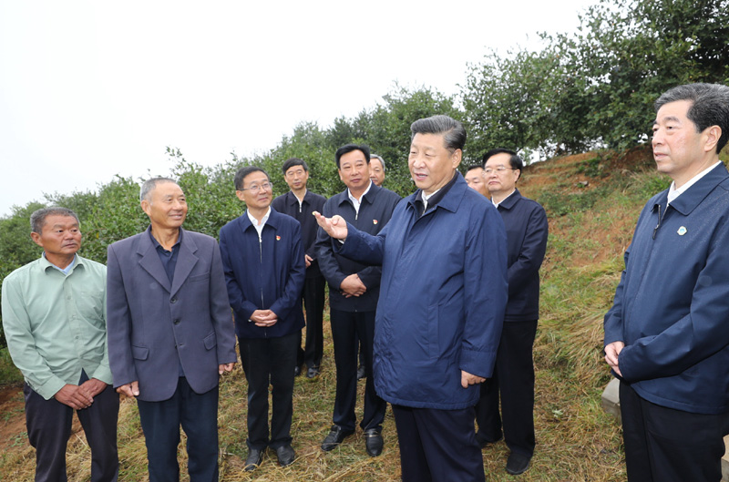 　　9月16日至18日，中共中央總書記、國家主席、中央軍委主席習(xí)近平在河南考察。這是17日上午，習(xí)近平來到信陽市光山縣槐店鄉(xiāng)司馬光油茶園，同正在勞作的村民和管理人員交流。 新華社記者 鞠鵬 攝