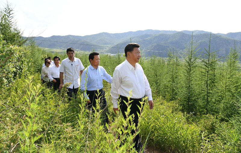 7月15日至16日，中共中央總書記、國家主席、中央軍委主席習(xí)近平在內(nèi)蒙古考察并指導(dǎo)開展“不忘初心、牢記使命”主題教育。這是15日下午，習(xí)近平在赤峰市喀喇沁旗馬鞍山林場林區(qū)，沿著崎嶇的護林小道察看林木長勢。